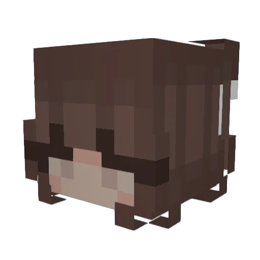 FilippaFlip Minecraft avatar head, 3D render