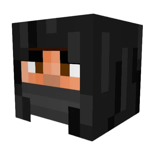 Filiptobi Minecraft avatar head, 3D render