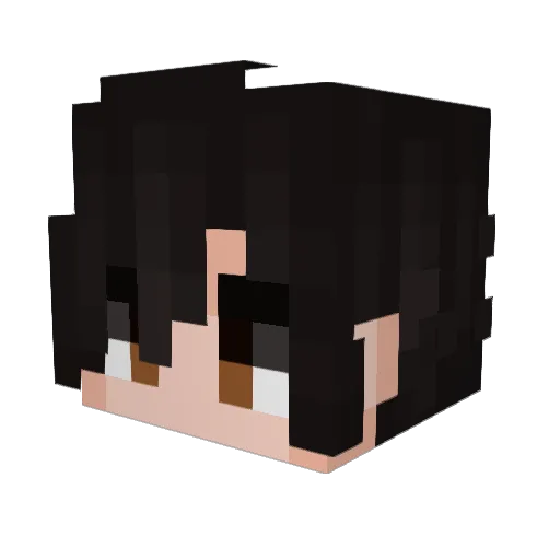 FilleBilleLile Minecraft avatar head, 3D render