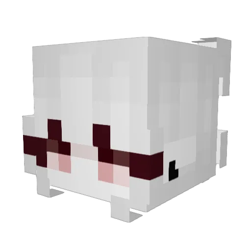 Filleh01 Minecraft avatar head, 3D render