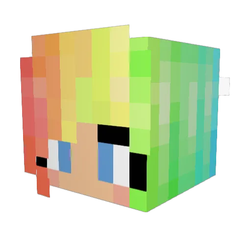Filliduttus Minecraft avatar head, 3D render