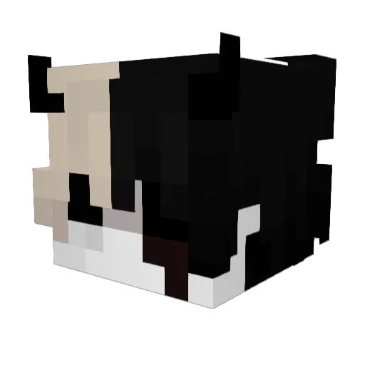 Fillier Minecraft avatar head, 3D render