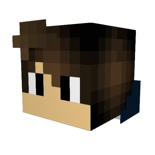 Fillis67 Minecraft avatar head, 3D render