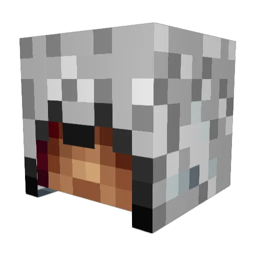 Fillwe Minecraft avatar head, 3D render