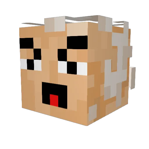 FilmDog67 Minecraft avatar head, 3D render