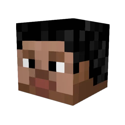 Filosofi Minecraft avatar head, 3D render