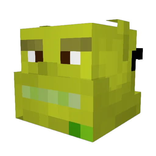 Filou13200 Minecraft avatar head, 3D render