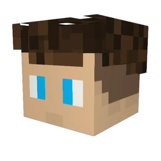 Filous01 Minecraft avatar head, 3D render