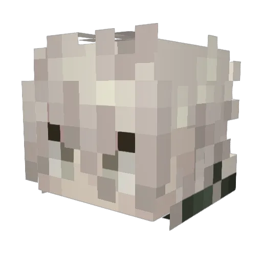 Filpie_ Minecraft avatar head, 3D render