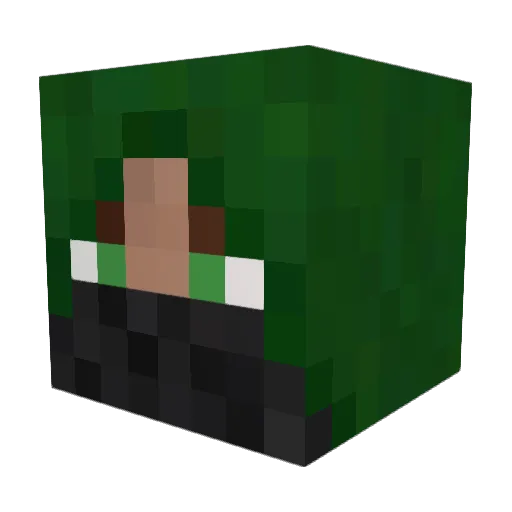 Filpus Minecraft avatar head, 3D render