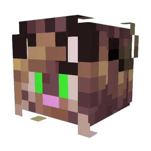 Filsd3gaia Minecraft avatar head, 3D render