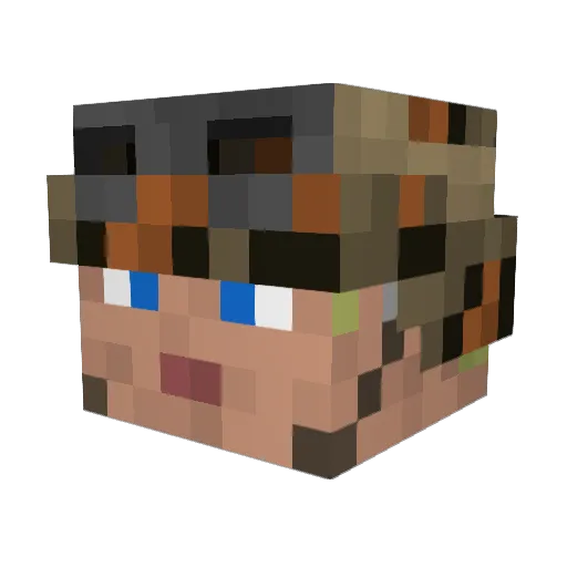 Filson1 Minecraft avatar head, 3D render