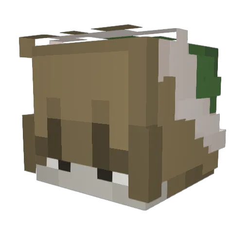 FilthyGinger Minecraft avatar head, 3D render