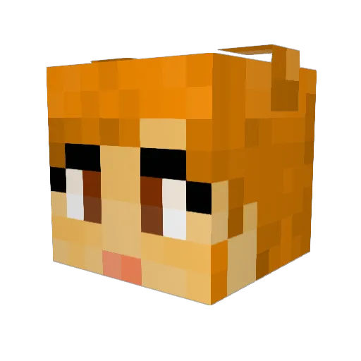 FilupJimson Minecraft avatar head, 3D render