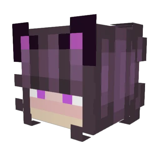 Filup_Ahron Minecraft avatar head, 3D render