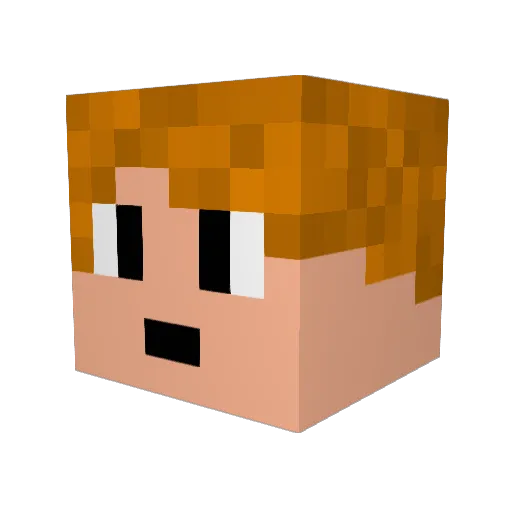 Filuren2003 Minecraft avatar head, 3D render