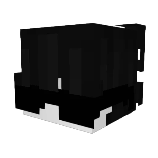 Filxyy Minecraft avatar head, 3D render