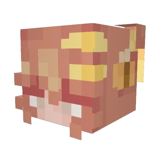 Filzfrucht Minecraft avatar head, 3D render