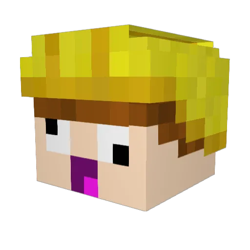 Fiman999 Minecraft avatar head, 3D render
