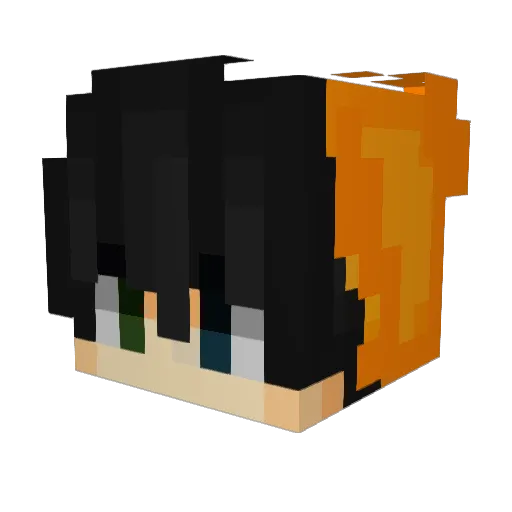 Fimzel Minecraft avatar head, 3D render