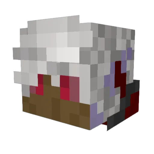 Fin1234XD Minecraft avatar head, 3D render