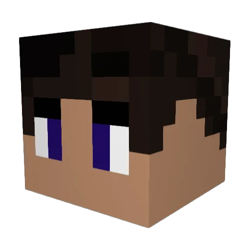 Fin17 Minecraft avatar head, 3D render