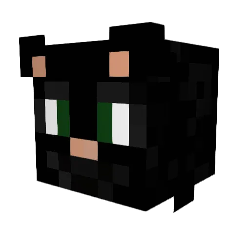 Fin2726 Minecraft avatar head, 3D render