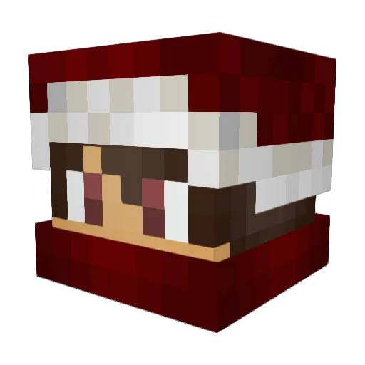 FinAnkka21 Minecraft avatar head, 3D render