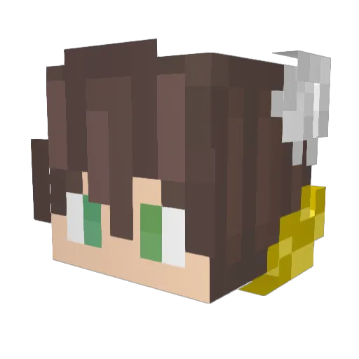 FinBobs138 Minecraft avatar head, 3D render