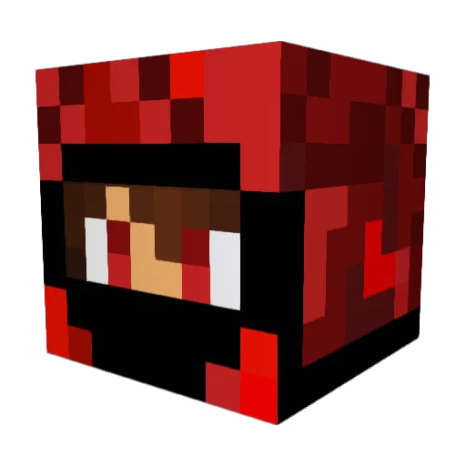 FinFanatic77 Minecraft avatar head, 3D render