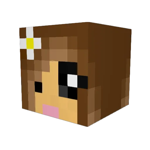 FinFin21 Minecraft avatar head, 3D render