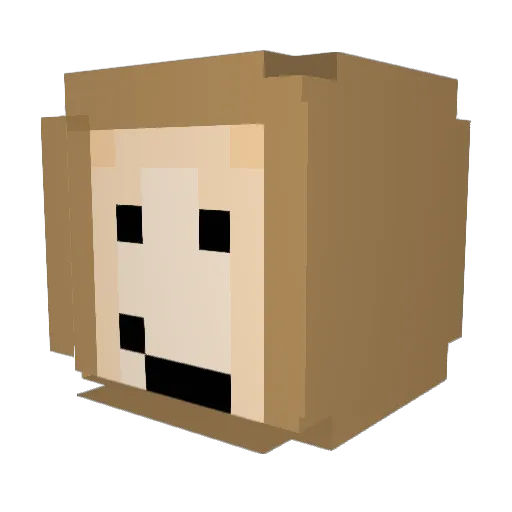 FinPeluri Minecraft avatar head, 3D render