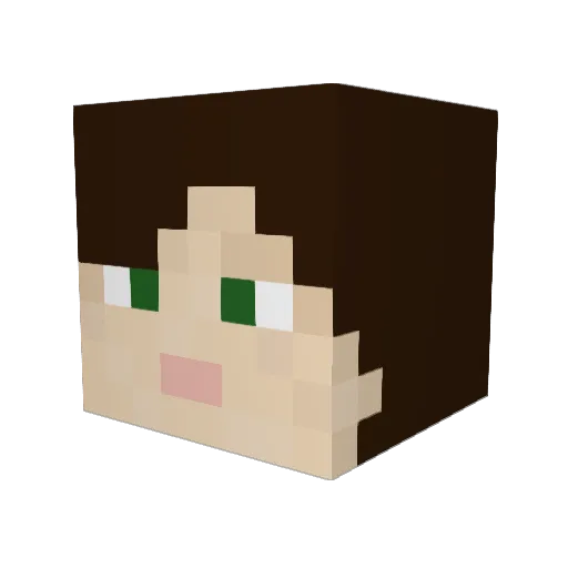 FinSharkOtter Minecraft avatar head, 3D render