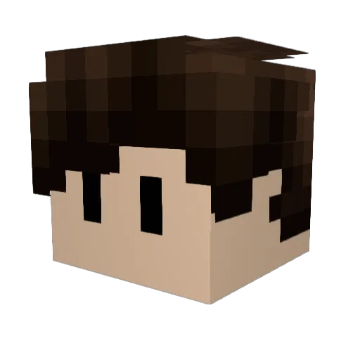 FinStarling Minecraft avatar head, 3D render