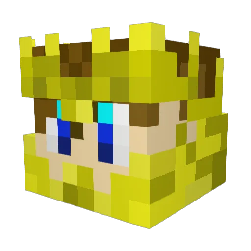 FinTheKing2008 Minecraft avatar head, 3D render