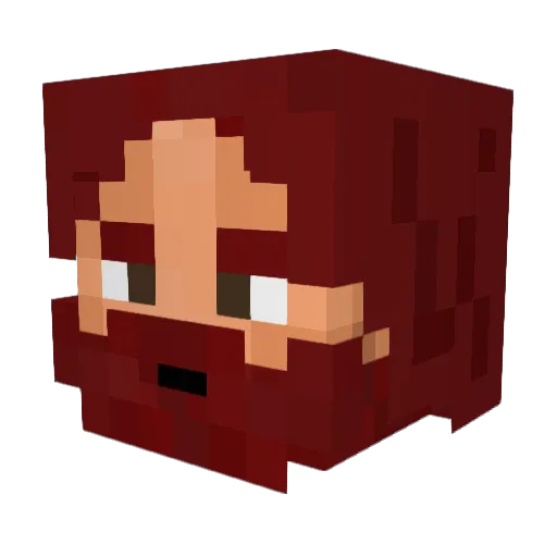 FinTiFou Minecraft avatar head, 3D render