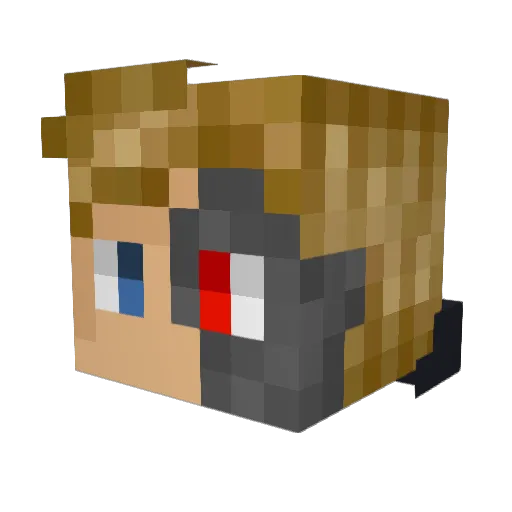 FinWasHere Minecraft avatar head, 3D render