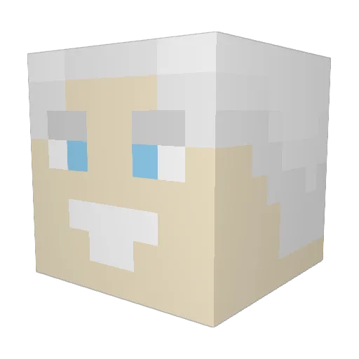 Fin_____ Minecraft avatar head, 3D render