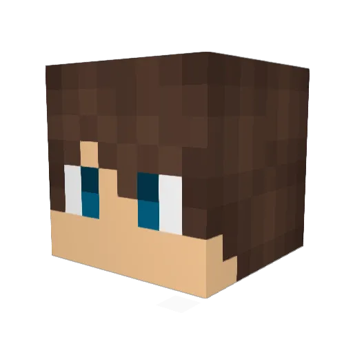 Final324 Minecraft avatar head, 3D render