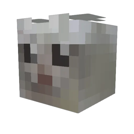 FinalBrainCell Minecraft avatar head, 3D render