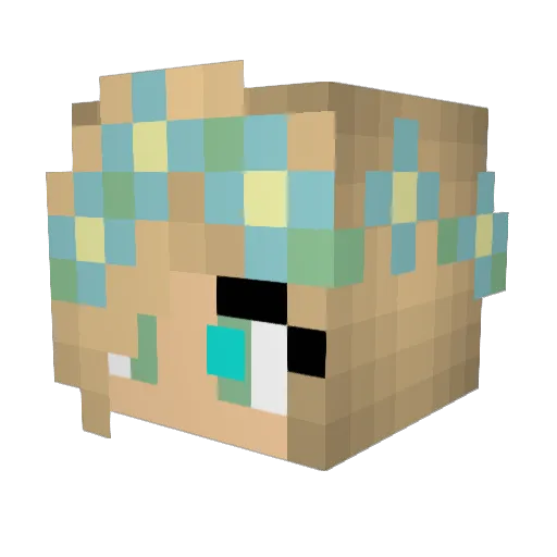 FinalEclypse242 Minecraft avatar head, 3D render