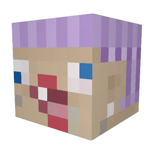 FinalPlatypus Minecraft avatar head, 3D render