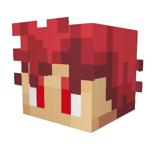 FinalSlashR Minecraft avatar head, 3D render