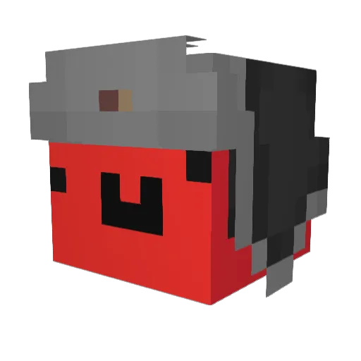 FinalToaster564 Minecraft avatar head, 3D render