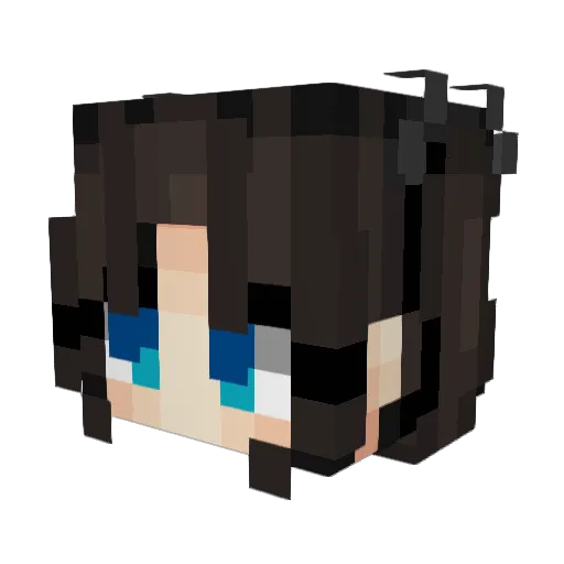 Finaljoke Minecraft avatar head, 3D render