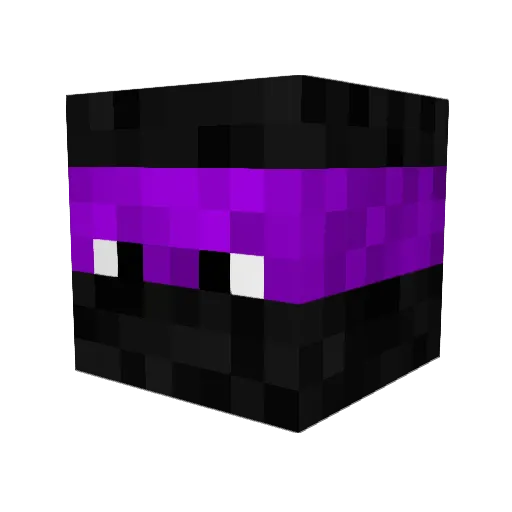 FinallyFierex Minecraft avatar head, 3D render