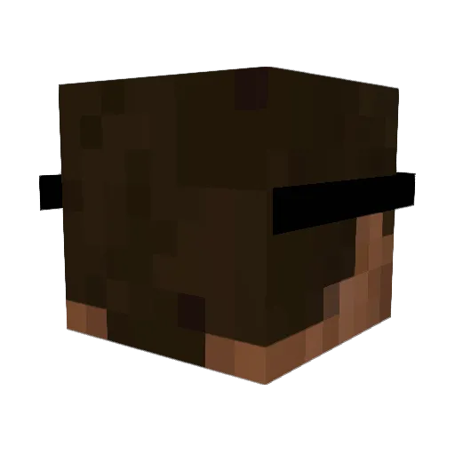 FinallyHere101 Minecraft avatar head, 3D render