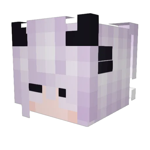 Finalsunset Minecraft avatar head, 3D render