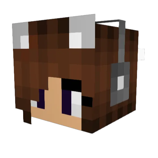 Finalvia Minecraft avatar head, 3D render