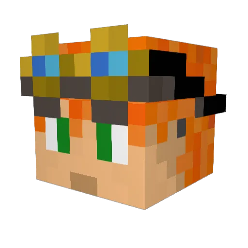 Finanzverwalter Minecraft avatar head, 3D render